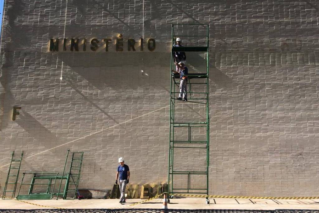 Tamanduá fazendo T-POSE : r/brasilivre