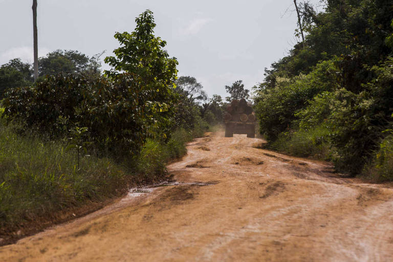 Estrada que liga o município de Guariba ao distrito de Taquaruçu do Norte, em Colniza (MT)