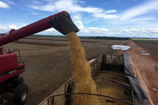FILE PHOTO: A truck is loaded with soybeans at a farm in Porto Nacional