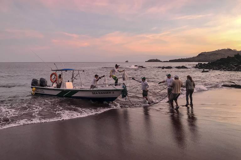 Segundo um dos diretores do parque nacional de Galápagos, a população dos répteis na ilha Santiago foi extinta com a presença de espécies invasoras,