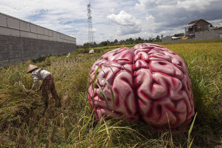 Escultura de um cérebro em meio a uma plantação; ao lado há um homem trabalhando