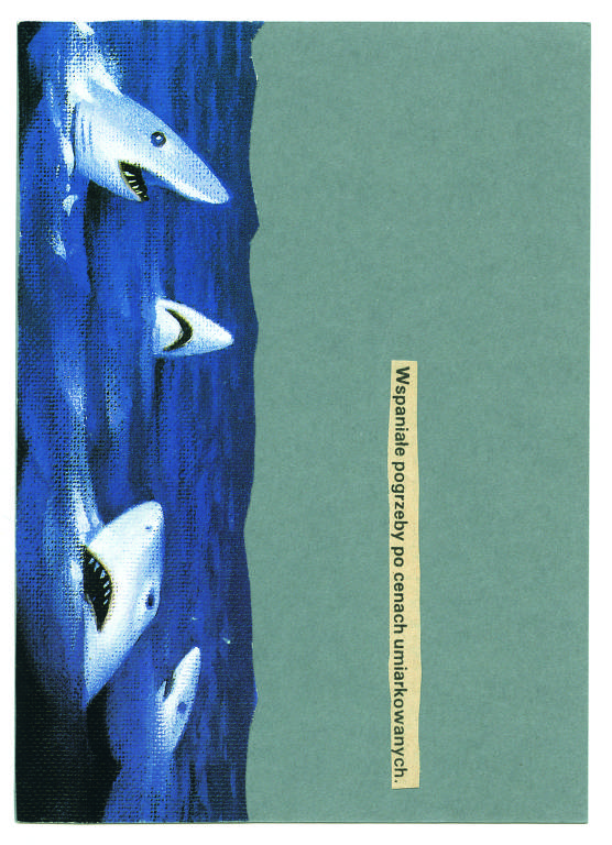 Colagens da poeta polonesa Wislawa Szymborska