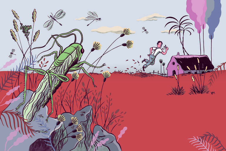 Ilustração de Fido Nesti para o livro "A Reforma da Natureza" (ed. FTD)