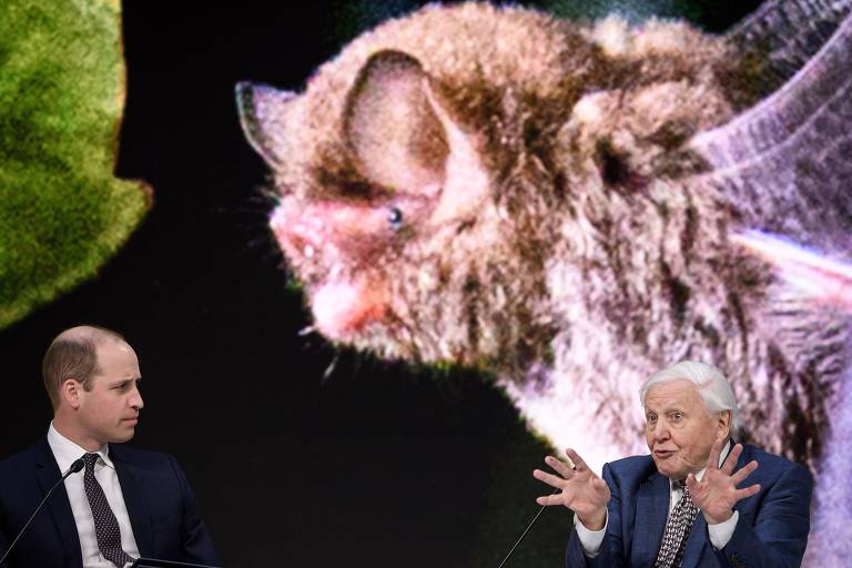 O príncipe William entrevista o apresentador de programas de história natural David Attenborough em Davos 