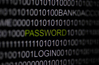 FILE PHOTO: The word 'password' is pictured on a computer screen in this picture illustration taken in Berlin