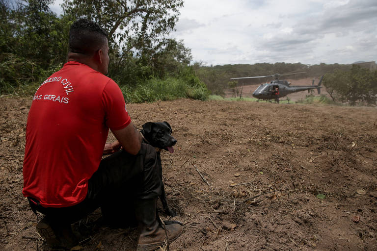 Bombeiro resgata um cachorro que ficou preso em uma casa em Brumadinho (MG)
