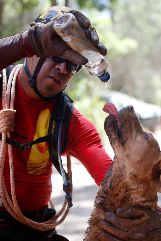 Integrante da equipe de resgate dá água a seu cachorro em meio às buscas em Brumadinho
