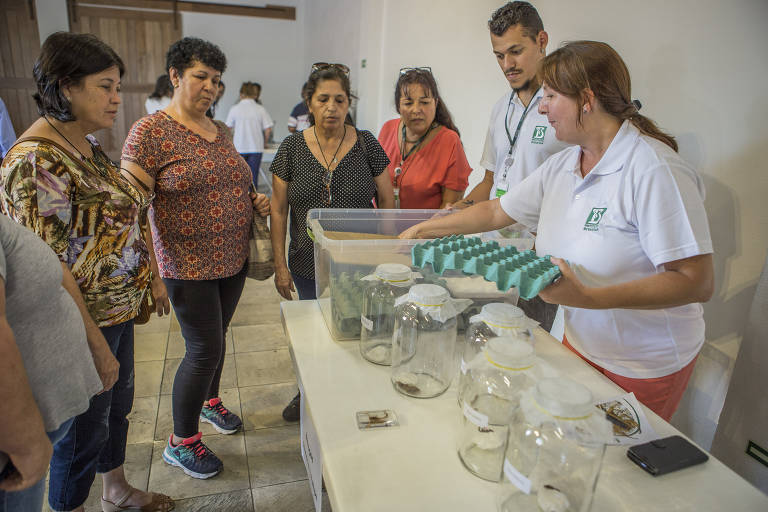 Pesquisadores fazem demonstração para alunos do curso de atualização sobre escorpiões