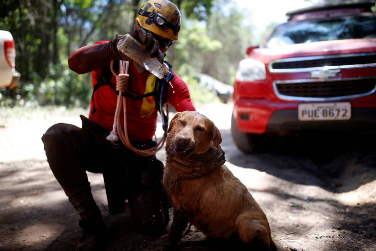 Integrante de equipe de resgate refresca seu cachorro durante buscas em Brumadinho