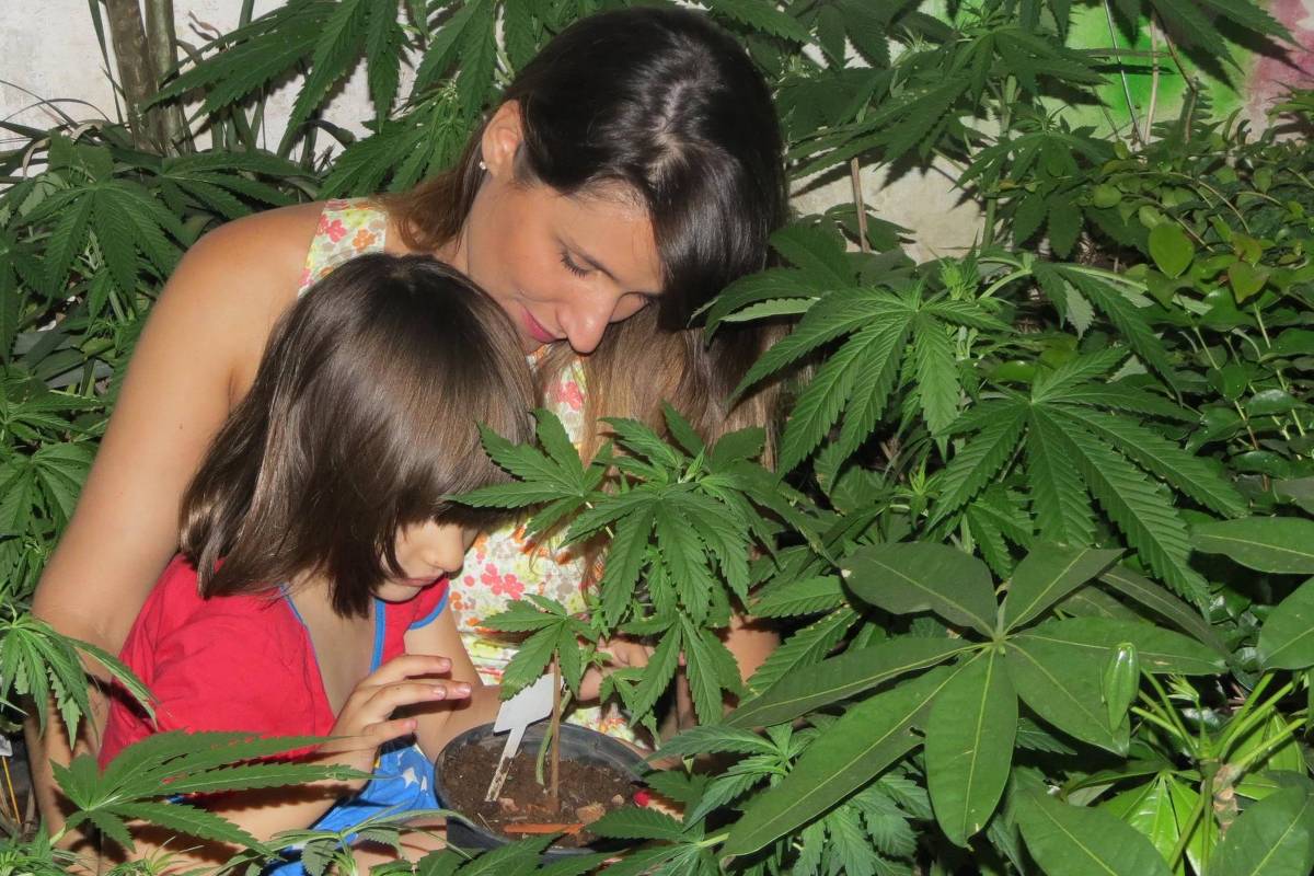 GO: pai e filha obtêm autorização para plantar maconha com fins medicinais