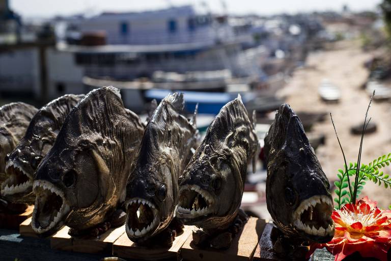 Mercado Municipal de Santarém, no Pará.