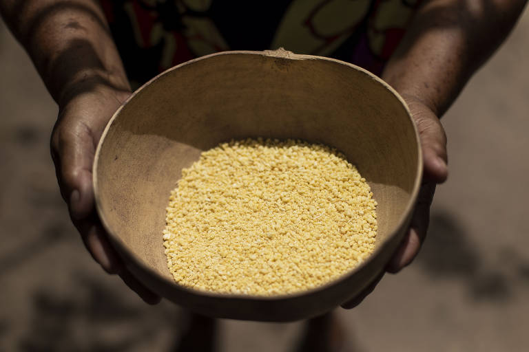Farinha de mandioca produzida por moradores da região de Alter do Chão
