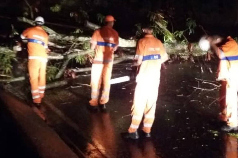 Árvore cai em Guaratiba, na zona oeste do Rio, e funcionários da Comlurb tentam desinterditar via