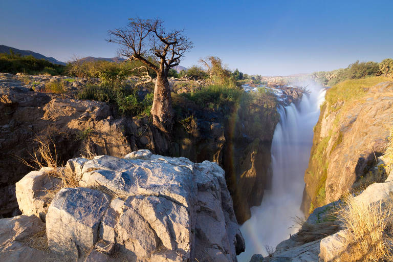 Baobás gigantescos transformam visitantes em miniaturas na Namíbia