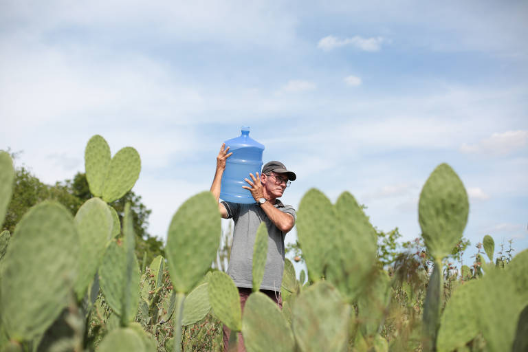 Clóvis Alberto Carneiro utiliza água para produzir alimentos no povoado de Poções (BA); citada por Bolsonaro como solução para a seca, a dessalinização é utilizada no Nordeste brasileiro como política pública federal desde 2004. Método, no entanto, não é ideal para ser produzido em larga escala