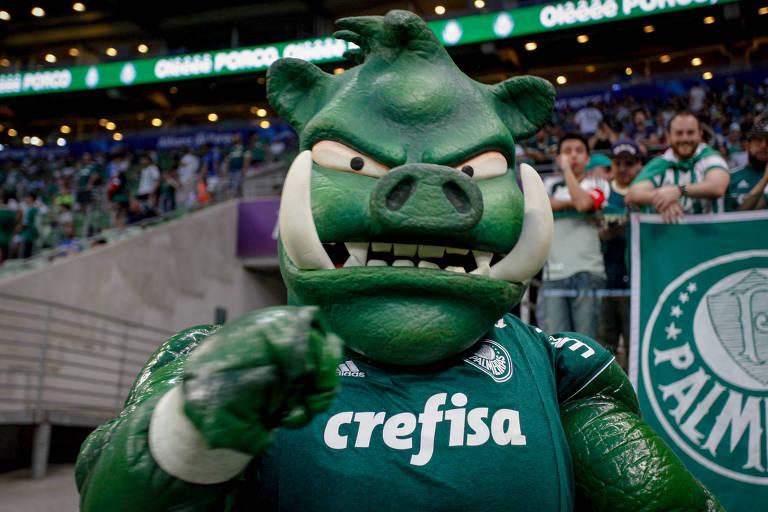 Veja mascotes espalhados pelos estádios brasileiros