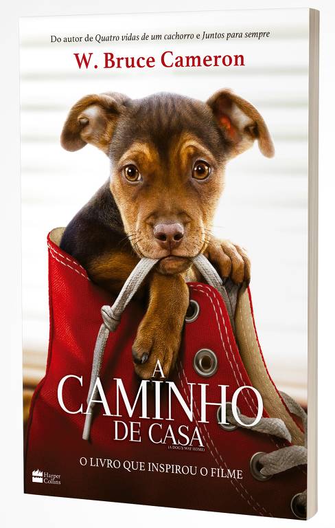 7 filmes de cachorro que você precisa assistir - Blog VETEX