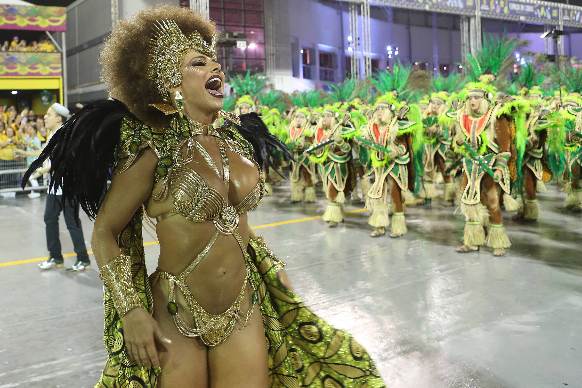 F5 Celebridades Carnaval Com Black Power Viviane