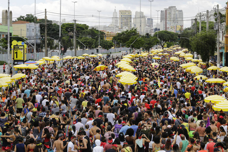 Desfile do bloco Domingo Ela Não Vai, na avenida Tiradentes