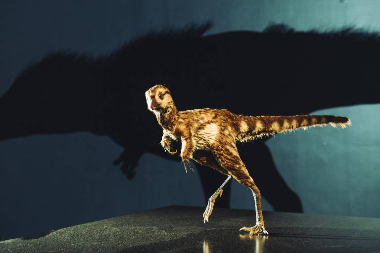 A model of a 1-year-old Tyrannosaurus rex, part of the ?T. rex: The Ultimate Predator? exhibit at the American Museum of Natural History in New York, March 1, 2019. Most T. rexes never made it past age 1, but those who did put on up to 140 pounds every month, maturing into an 18,000-pound predator. (George Etheredge/The New York Times)