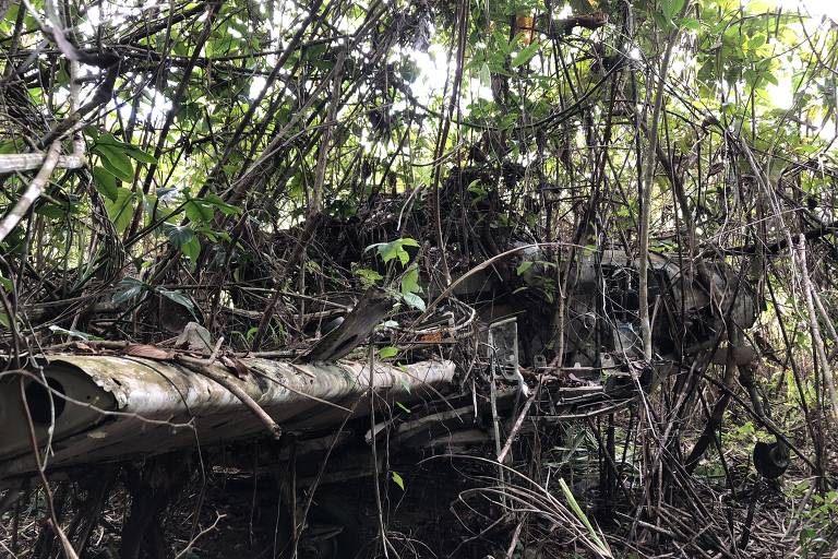 Destroços do Queen Air PT-KKJ em Roraima