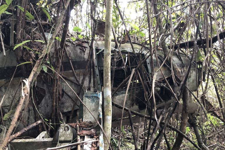 Destroços do Queen Air PT-KKJ em Roraima