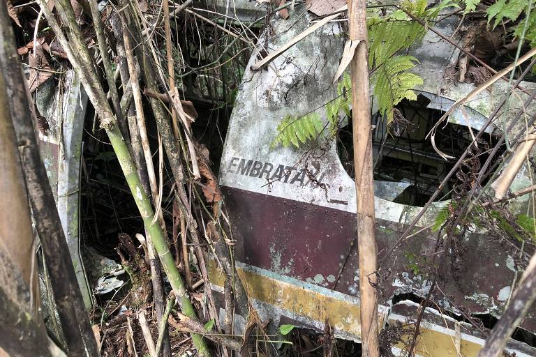 Destroços do Queen Air PT-KKJ em Roraima