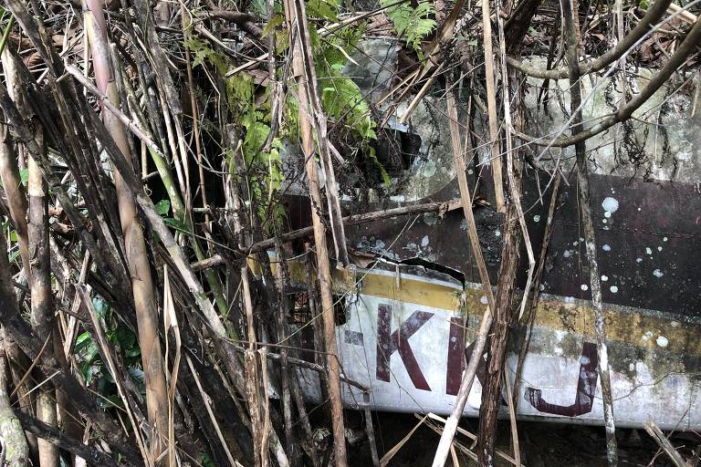 Destroços do Queen Air PT-KKJ em Roraima