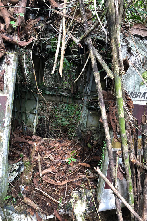 Destroços do Queen Air PT-KKJ em Roraima