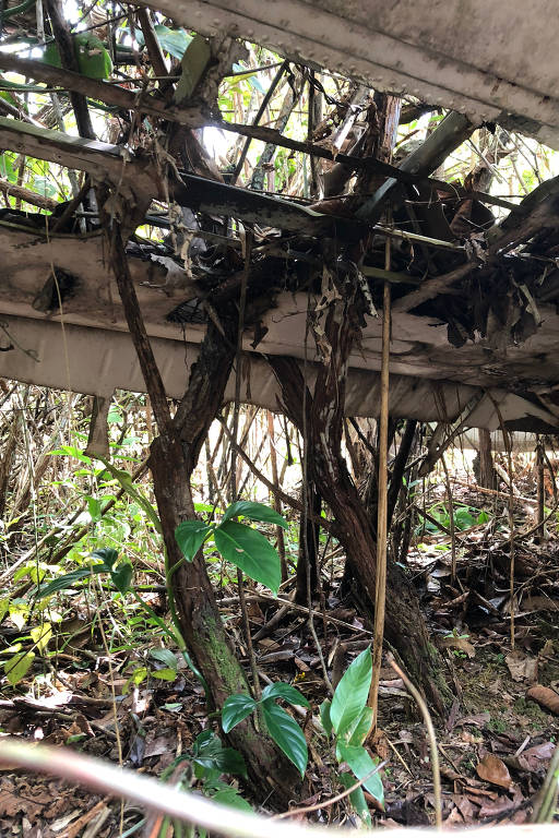 Destroços do Queen Air PT-KKJ em Roraima