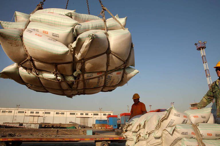 Descarregamento de soja importada em porto em Nantong, na China
