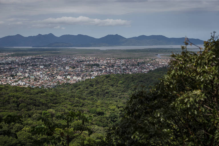 Vista do mirante municipal de Joinville, uma das cidades de Santa Catarina com água contaminada por agrotóxicos