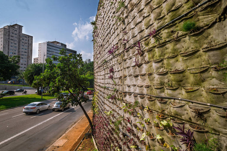 Muro verde da avenida 23 de Maio em 2019