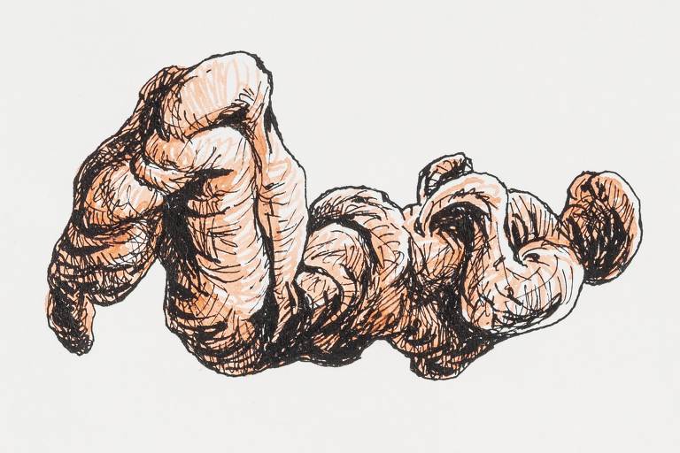 Ilustração de Lourenço Mutarelli para edição de ‘A Metamorfose’, obra de Kafka relançada pela Antofágica, mostra o protagonista da trama se transformando em uma barata&#8194;