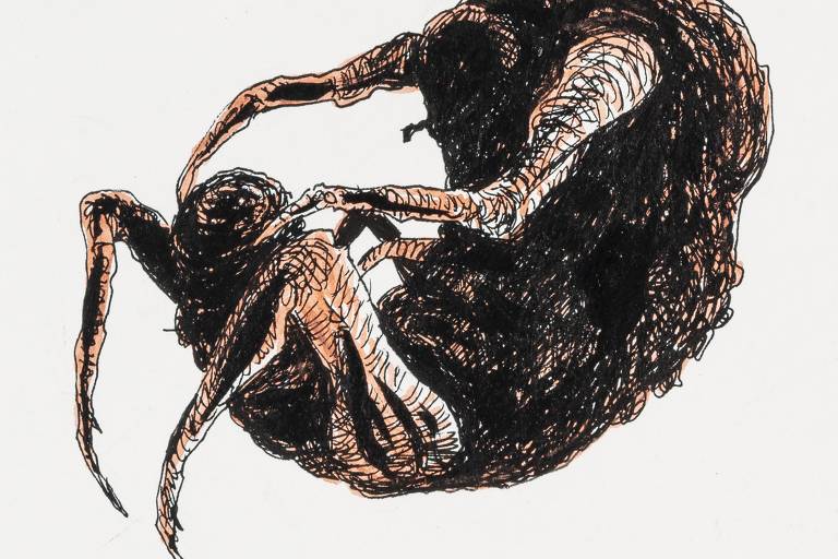 Ilustração de Lourenço Mutarelli para edição de ‘A Metamorfose’, obra de Kafka relançada pela Antofágica, mostra o protagonista da trama se transformando em uma barata 