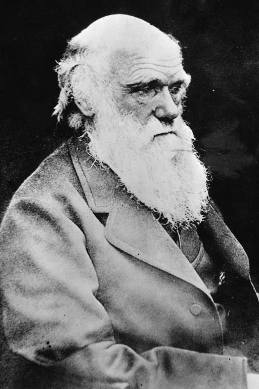 O cientista britânico Charles Robert Darwin, naturalista que formulou a teoria da evolução e seleção natural das espécies, em foto sem data