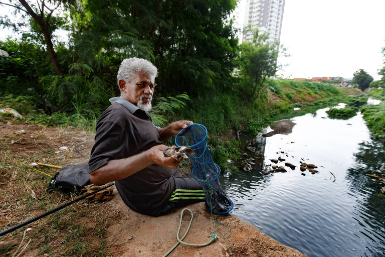 Motorista encontra peixe em córrego ao lado do rio Tietê