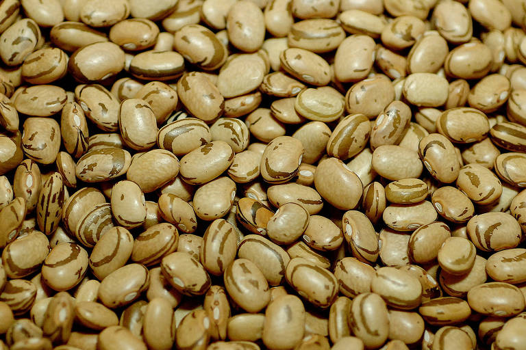 Segundo informações divulgadas pelo IBGE, o IPCA (Índice Nacional de Preços ao Consumidor Amplo) de fevereiro apresentou alta de 0,43%. O destaque continuou vindo pelo preço do feijão carioca 