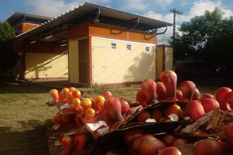 Terreno com antiga base do Samu é ocupado por escola de samba