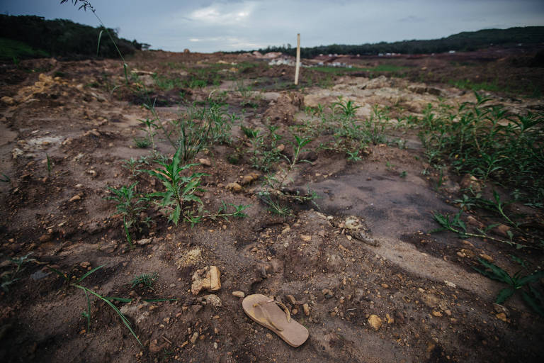 A imagem mostra um terreno desmatado e seco， com algumas plantas rasteiras e pedras visíveis. No primeiro plano， há uma sandália deixada no chão. Ao fundo， é possível ver uma área mais verde e uma estrutura de sinalização， possivelmente um poste， em um ambiente natural sob um céu nublado.