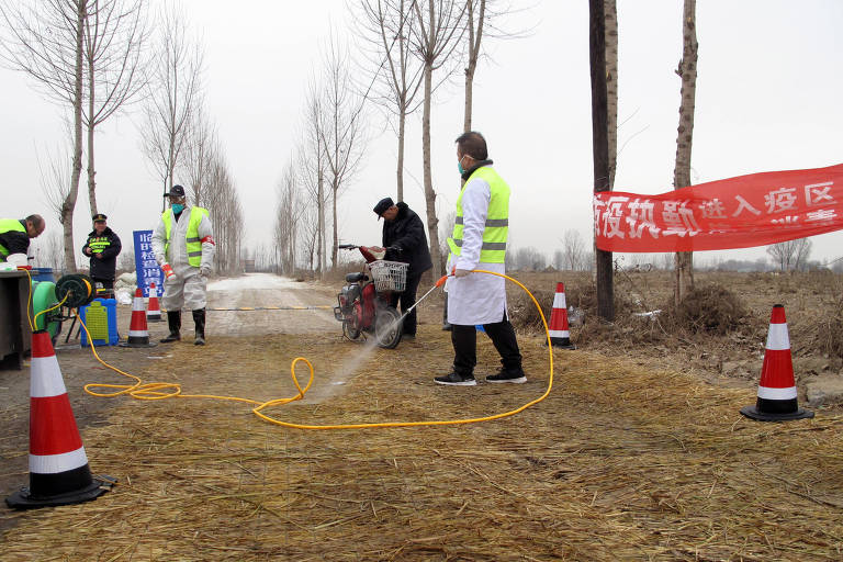 Agentes públicos em área afetada por peste suína africana na China