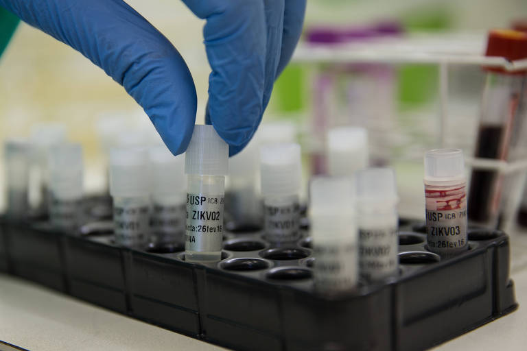 USP desenvolve teste que identifica vírus da zika com maior precisão