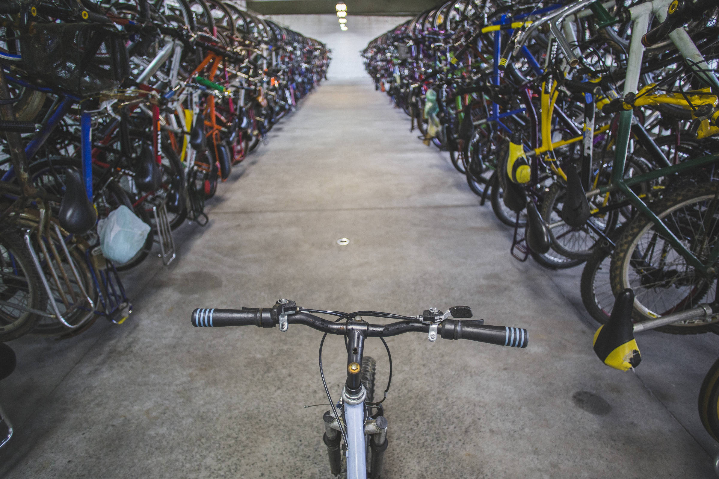 Estacionamento e Bicicletário – Palmeiras