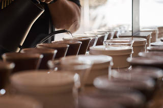 Amostras de café são preparadas para prova em fazenda produtora em Franca (SP)