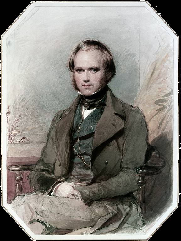 Retrato de Charles Darwin sentado