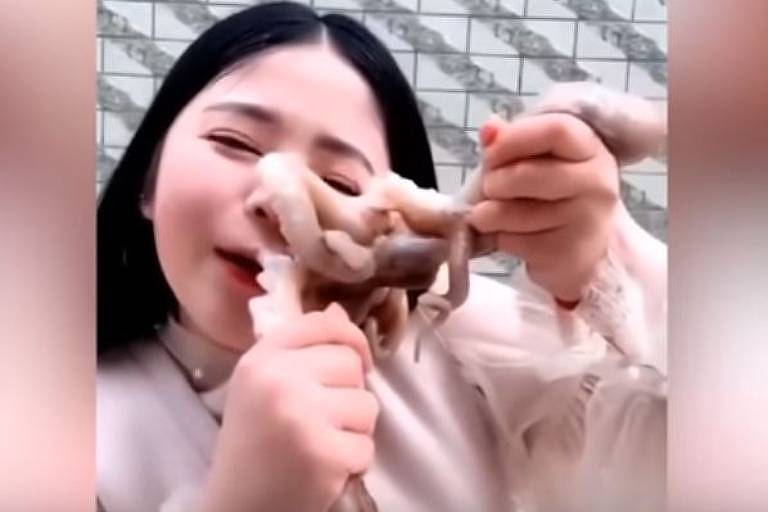 Chinesa é atacada por polvo ao tentar comê-lo vivo em vídeo ao vivo