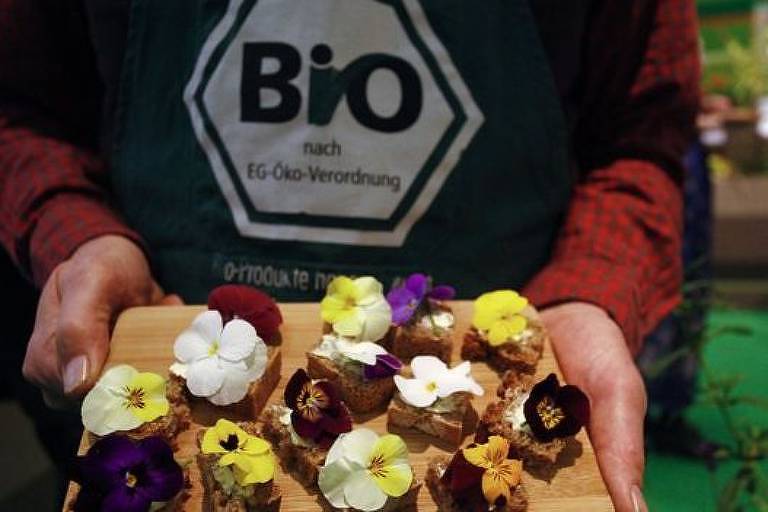 Ao mesmo tempo em que pratica e incentiva agricultura sustentável internamente, Europa continua a depender da importação de culturas menos socialmente corretas