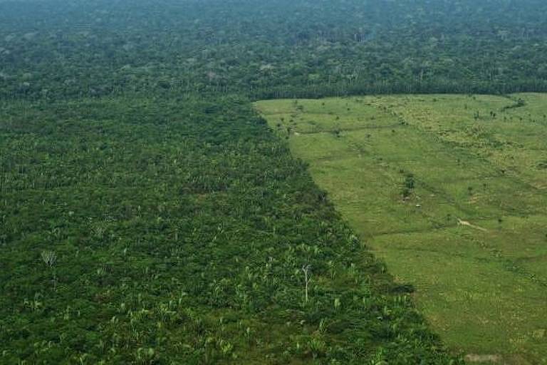 Desmatamento para pasto na Amazônia também é alvo de crítica de cientistas