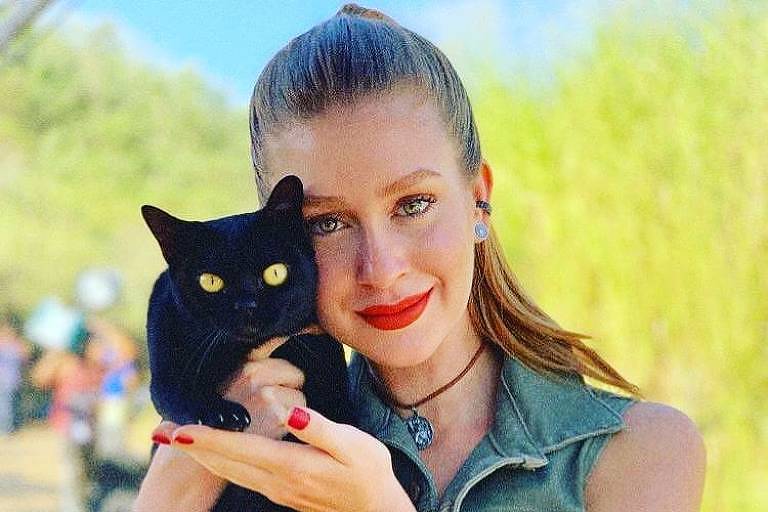 Veterinária diz que Marina Ruy Barbosa não pediu para adotar gato de 'O Sétimo Guardião'