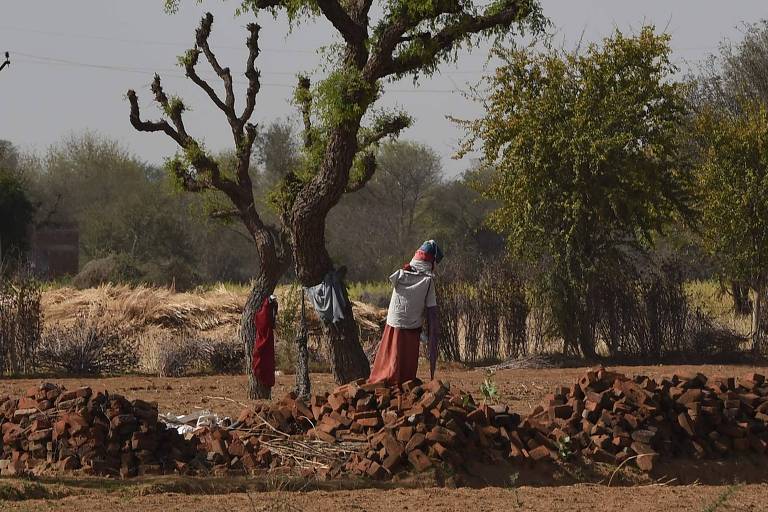 Espantalho é visto em uma fazenda na tentativa de afastar vacas errantes em Pilani, no Rajastão